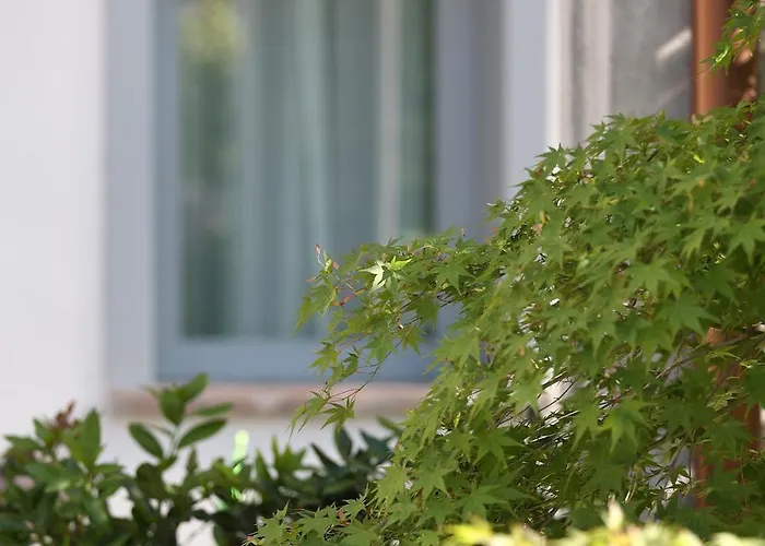 Casa Tua Maison d'hôtes Formigine